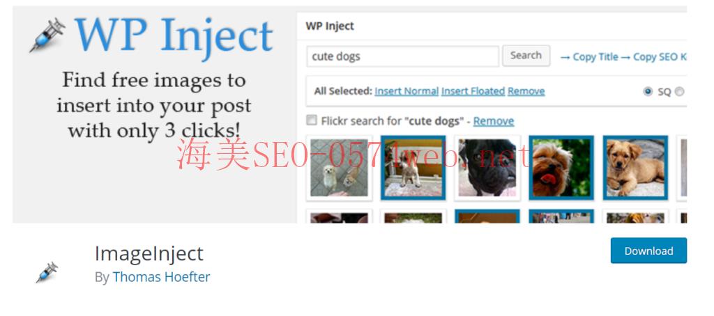 WP Inject WordPress plugin