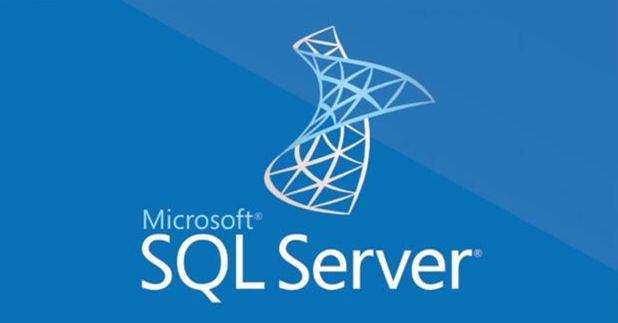 如何使用SQL Server CONVERT() 函数并举例说明