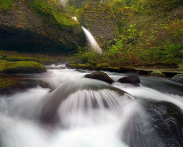 移动端优化哪个平台好