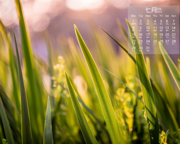 中国电信谈ChatGPT