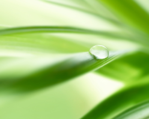 如何推波助澜文案简短