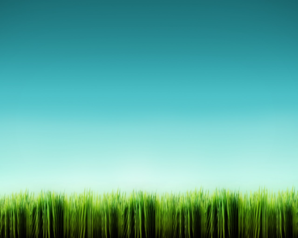 如何拿快递文案范文大全