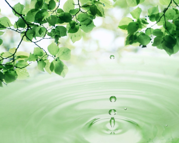 关键词seo排名优化软件