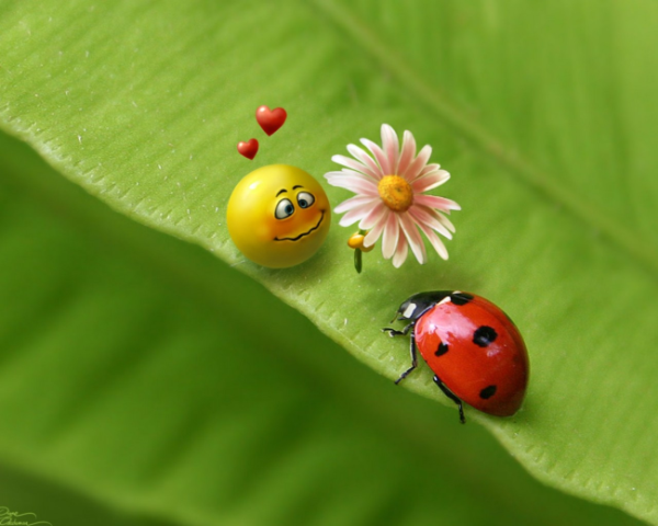 vnc下载 vnc下载-安装-登录教程(超详细!)