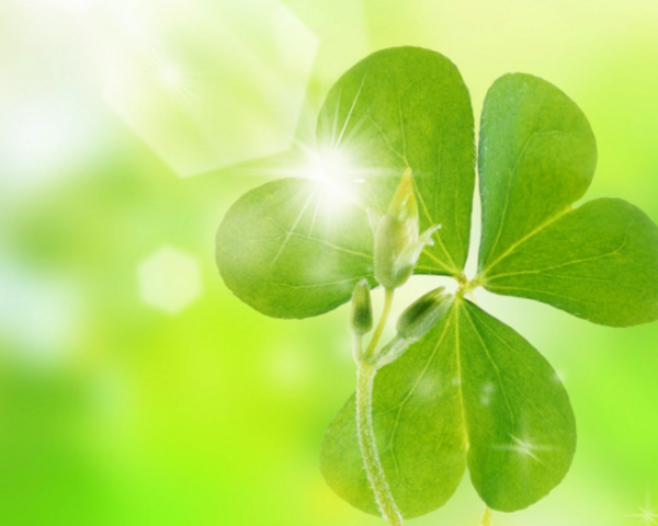 让chatgpt复制自己的人格