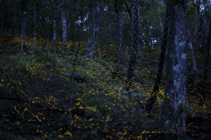 JavaScript实现选项卡(三种方法)