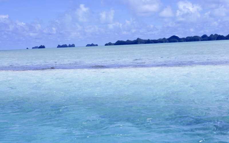 品牌如何有效宣传广告文案