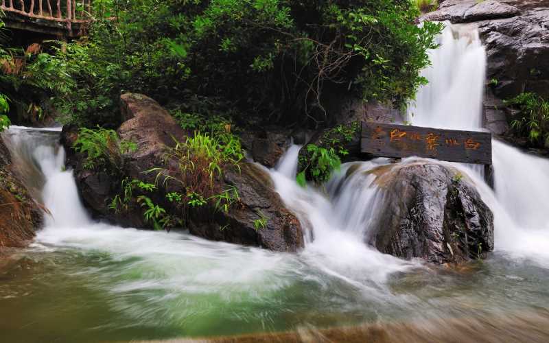 seo移动端优化课件