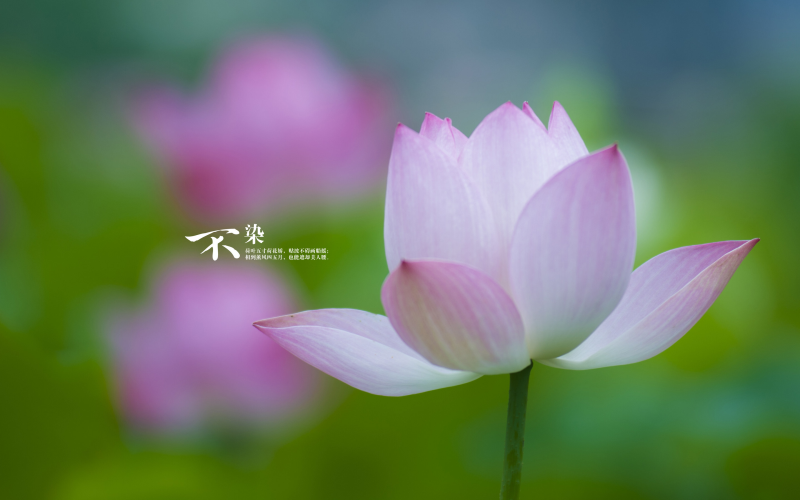 Linux mdu命令  介绍